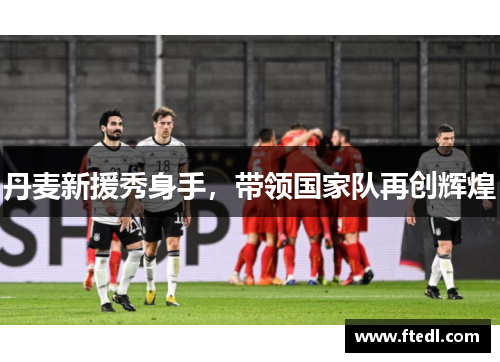 丹麦新援秀身手，带领国家队再创辉煌